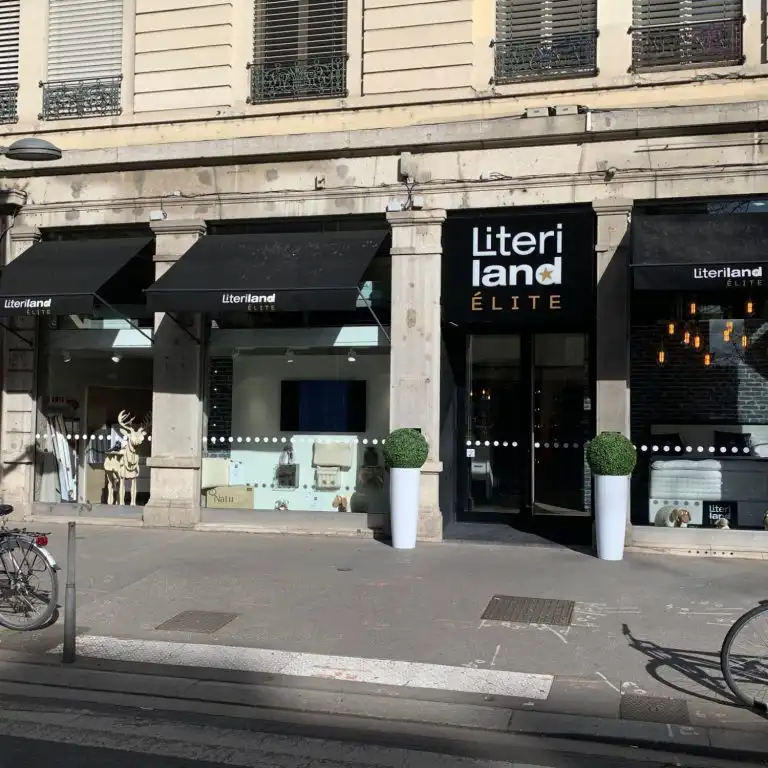 Literiland Lyon
